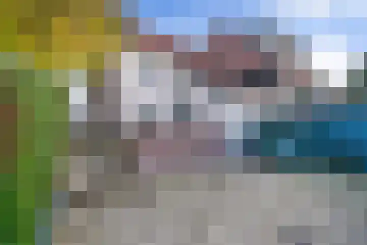 Groenedijk 43 Ovezande thumbnail 25