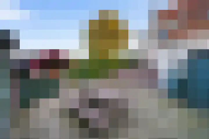Groenedijk 43 Ovezande thumbnail 26