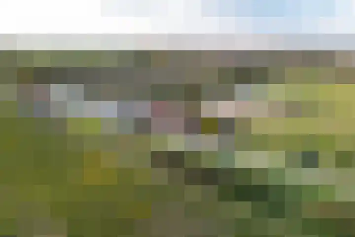 Groenedijk 43 Ovezande thumbnail 27