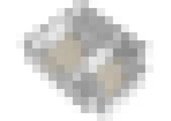 Groenedijk 43 Ovezande thumbnail 33