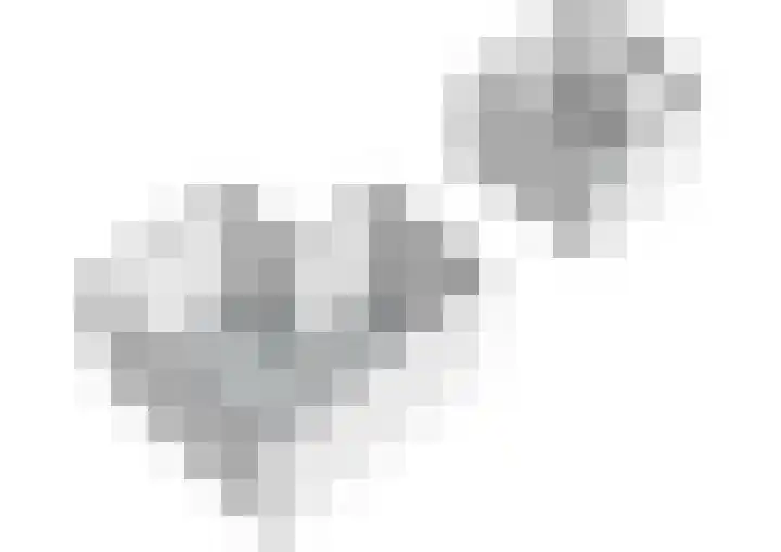 Groenedijk 43 Ovezande thumbnail 36
