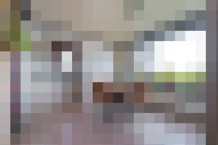 Groenedijk 43 Ovezande thumbnail 7
