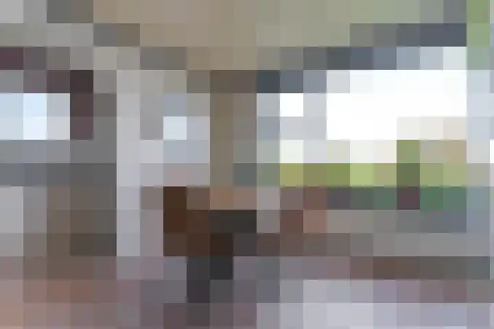 Groenedijk 43 Ovezande thumbnail 8