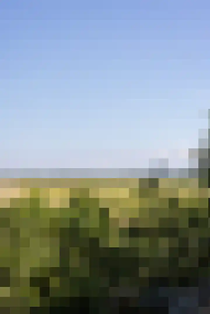 Groenedijk 52 Ouddorp thumbnail 28