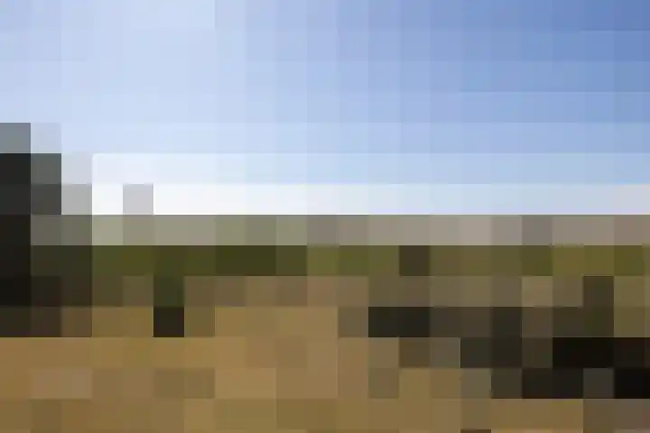 Groenedijk 52 Ouddorp thumbnail 42