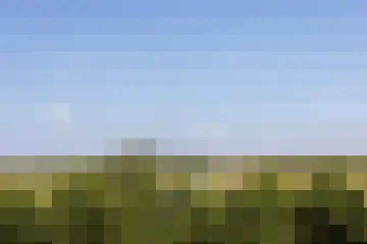 Groenedijk 52 Ouddorp thumbnail 43