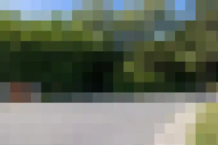 Groenedijk 52 Ouddorp thumbnail 6