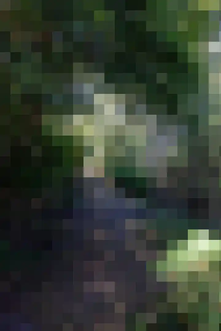 Groenedijk 52 Ouddorp thumbnail 8