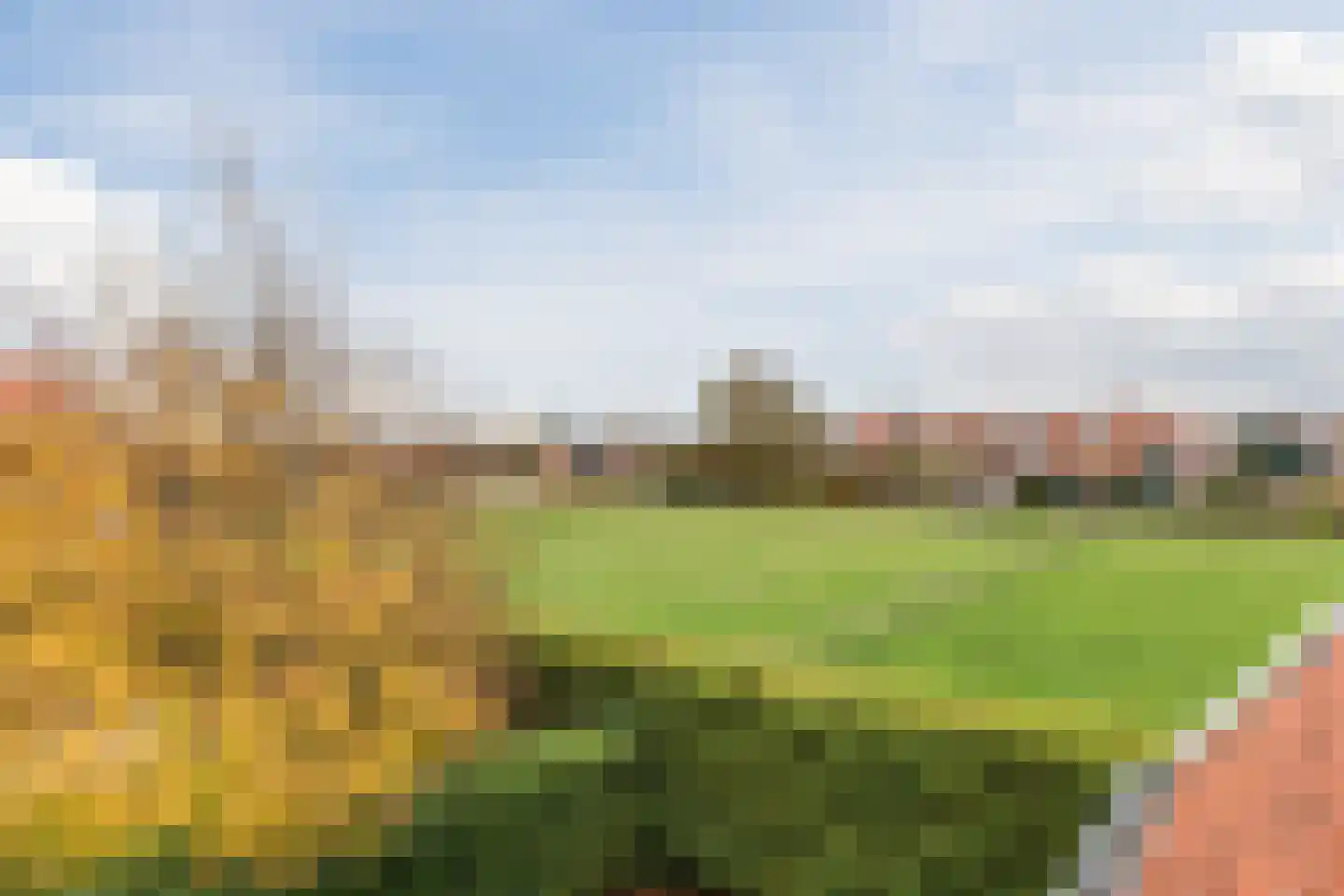 Groenedijk 6 102 Oost-Graftdijk thumbnail 31