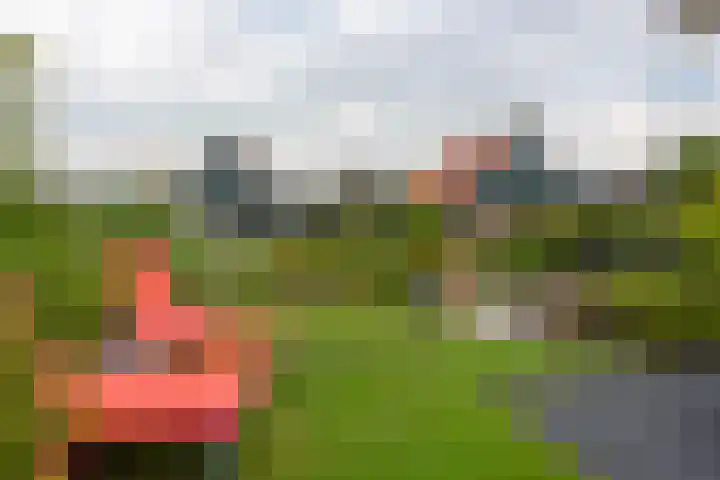 Groenedijk 6 620 Oost-Graftdijk thumbnail 24