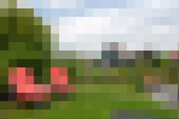 Groenedijk 6 620 Oost-Graftdijk thumbnail 25