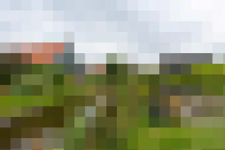 Groenedijk 6 620 Oost-Graftdijk thumbnail 26