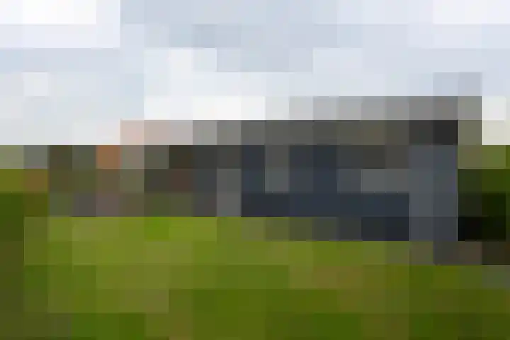 Groenedijk 6 620 Oost-Graftdijk thumbnail 28