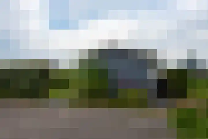 Groenedijk 6 620 Oost-Graftdijk thumbnail 34
