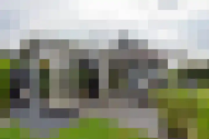 Groenedijk 6 620 Oost-Graftdijk thumbnail 6