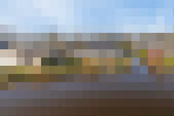 Groenedijk 6 640 Oost-Graftdijk thumbnail 33