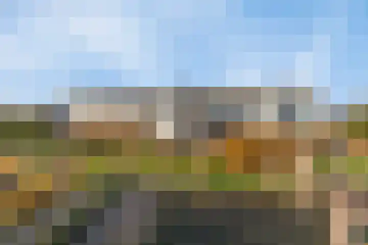 Groenedijk 6 640 Oost-Graftdijk thumbnail 5
