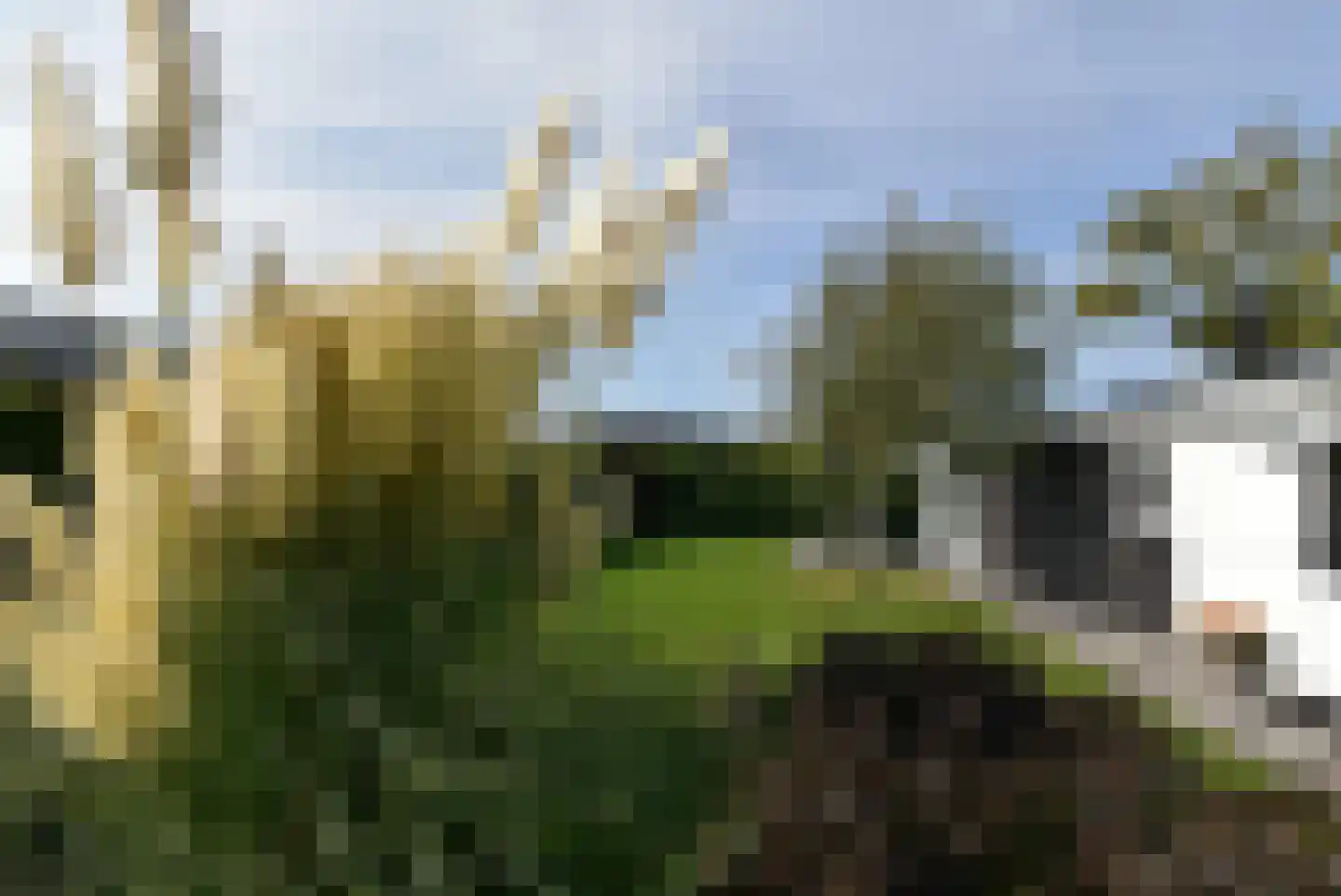 Groenedijk 6 778 Oost-Graftdijk thumbnail 18