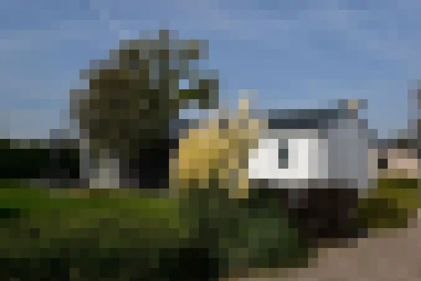 Groenedijk 6 778 Oost-Graftdijk thumbnail 19