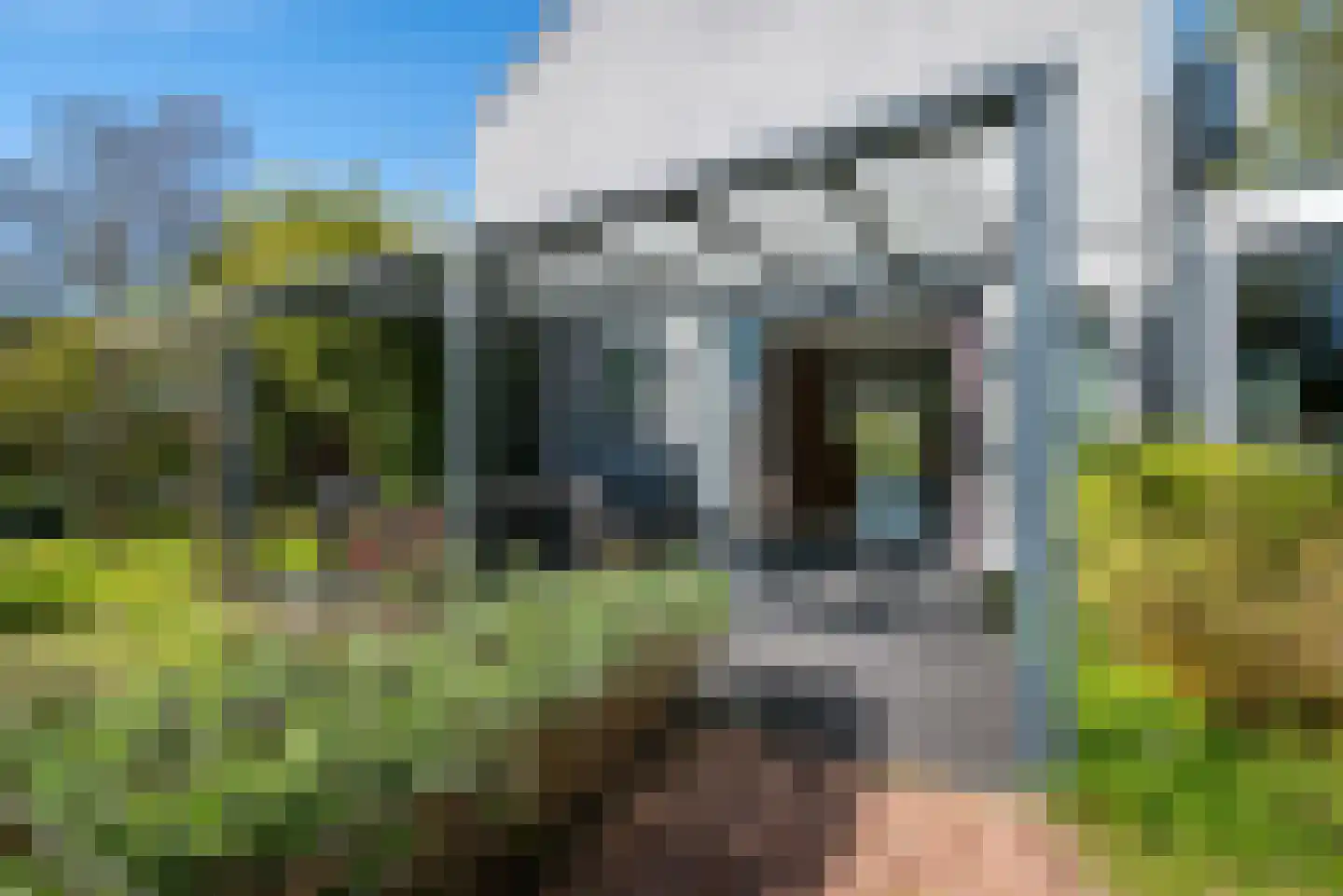 Groenedijk 72 Utrecht thumbnail 23