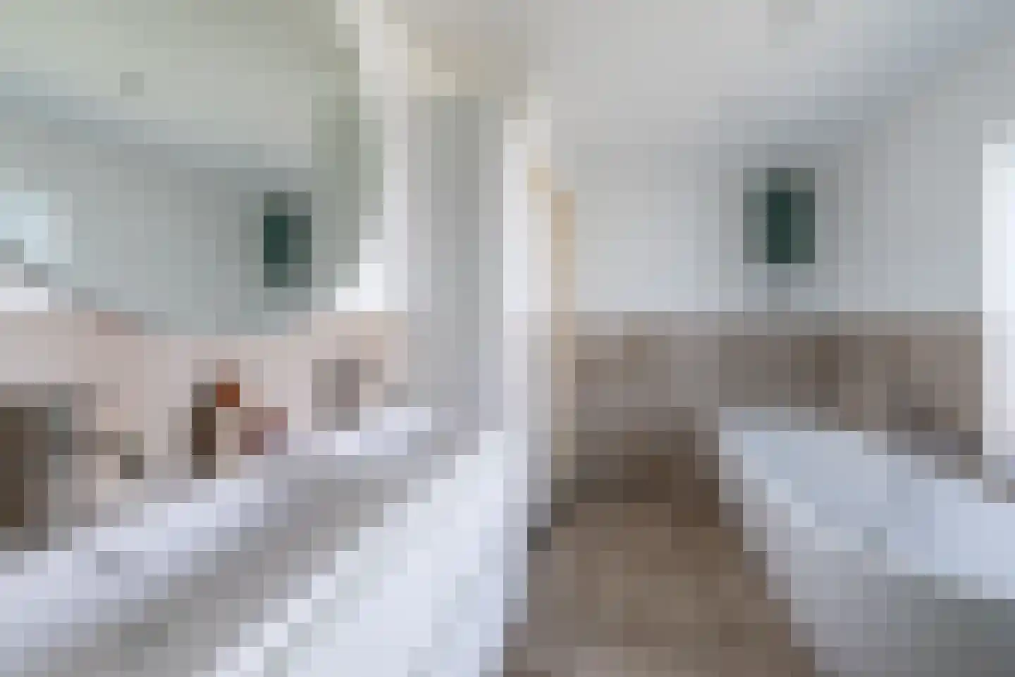 Groenedijk 72 Utrecht thumbnail 41