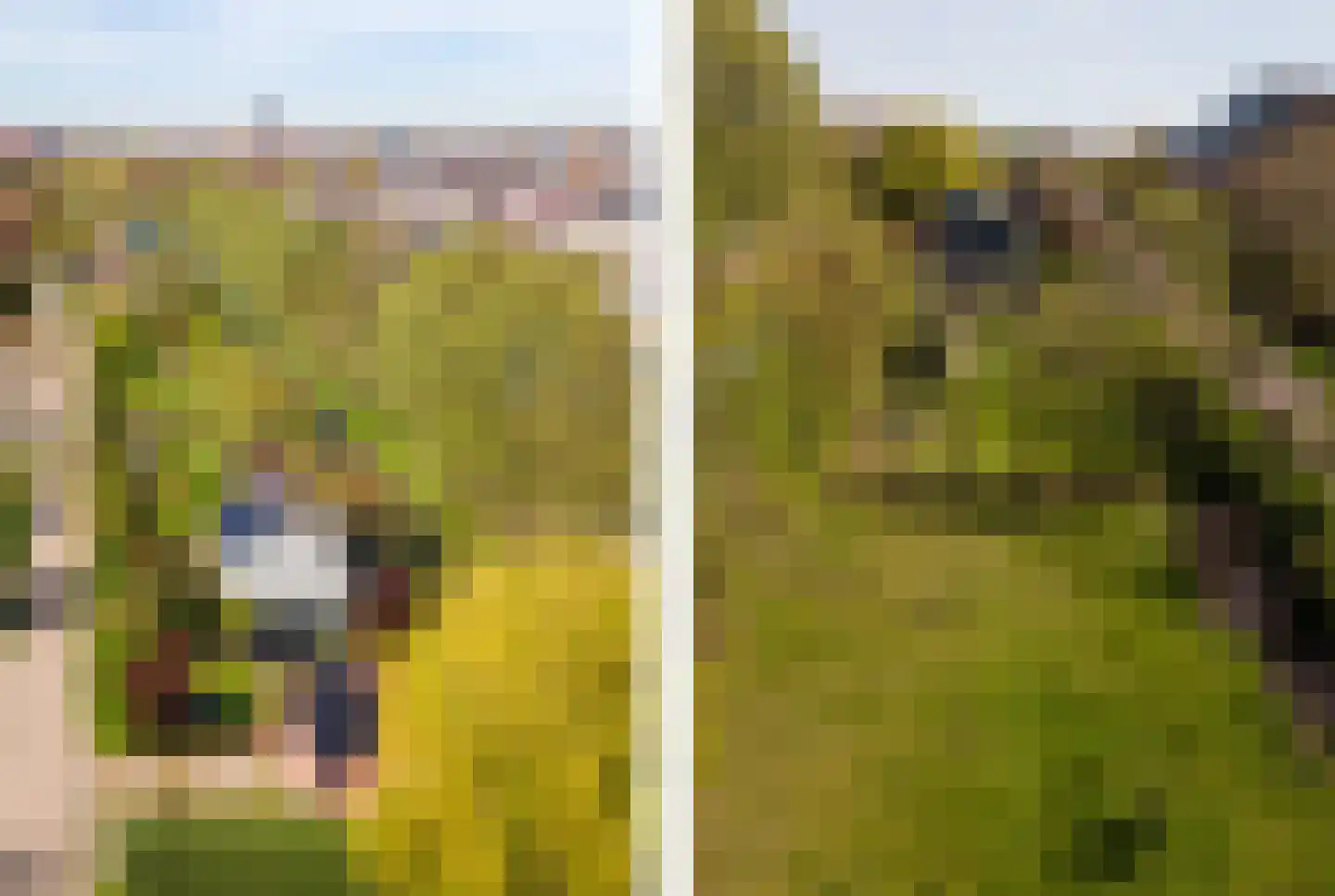 Groenedijk 72 Utrecht thumbnail 44