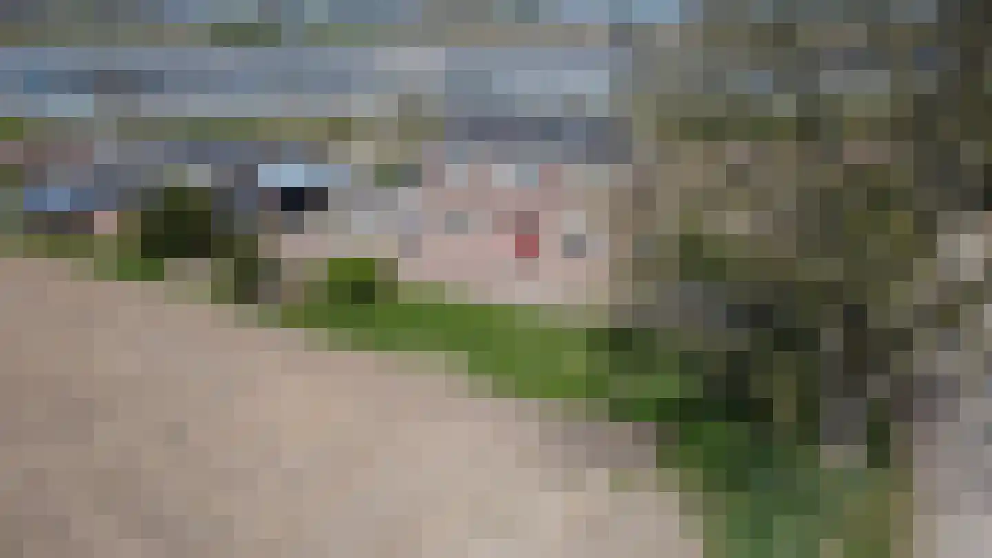 Groenedijk-Zuid 8 Tiel thumbnail 13