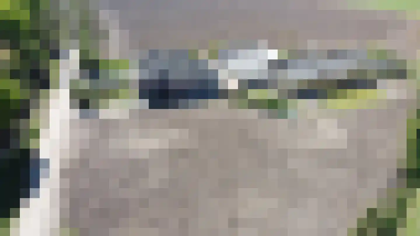 Groenedijk-Zuid 8 Tiel thumbnail 15