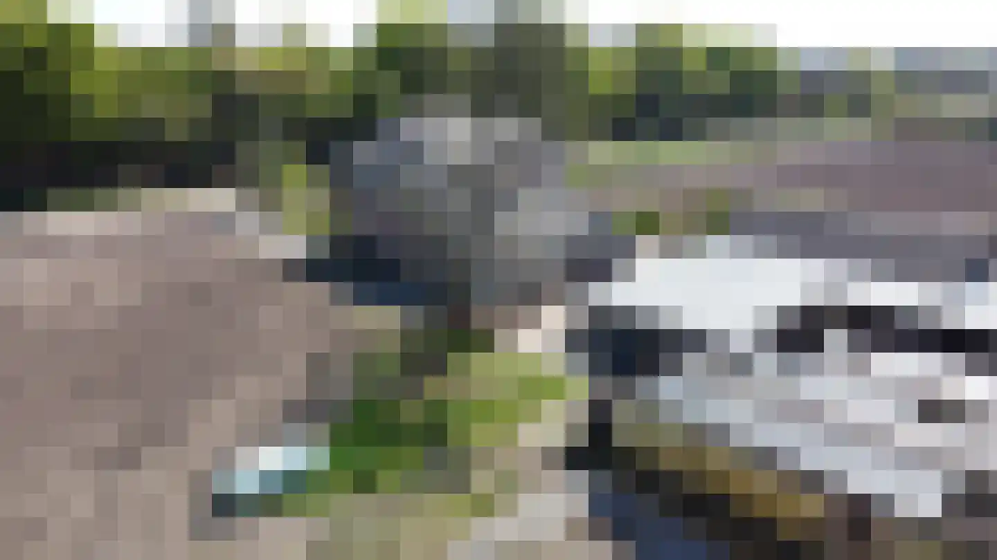 Groenedijk-Zuid 8 Tiel thumbnail 16
