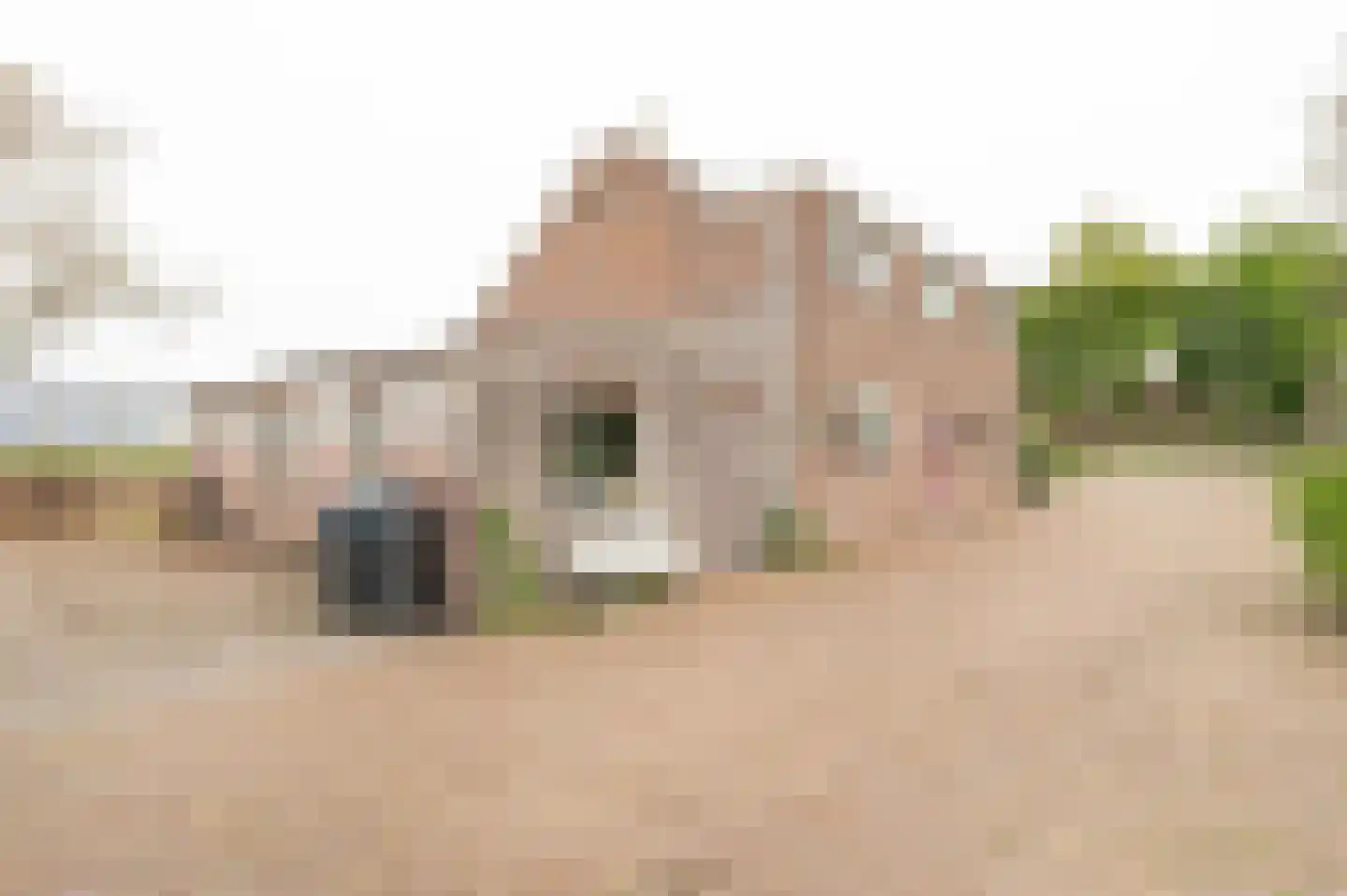 Groenedijk-Zuid 8 Tiel foto 3