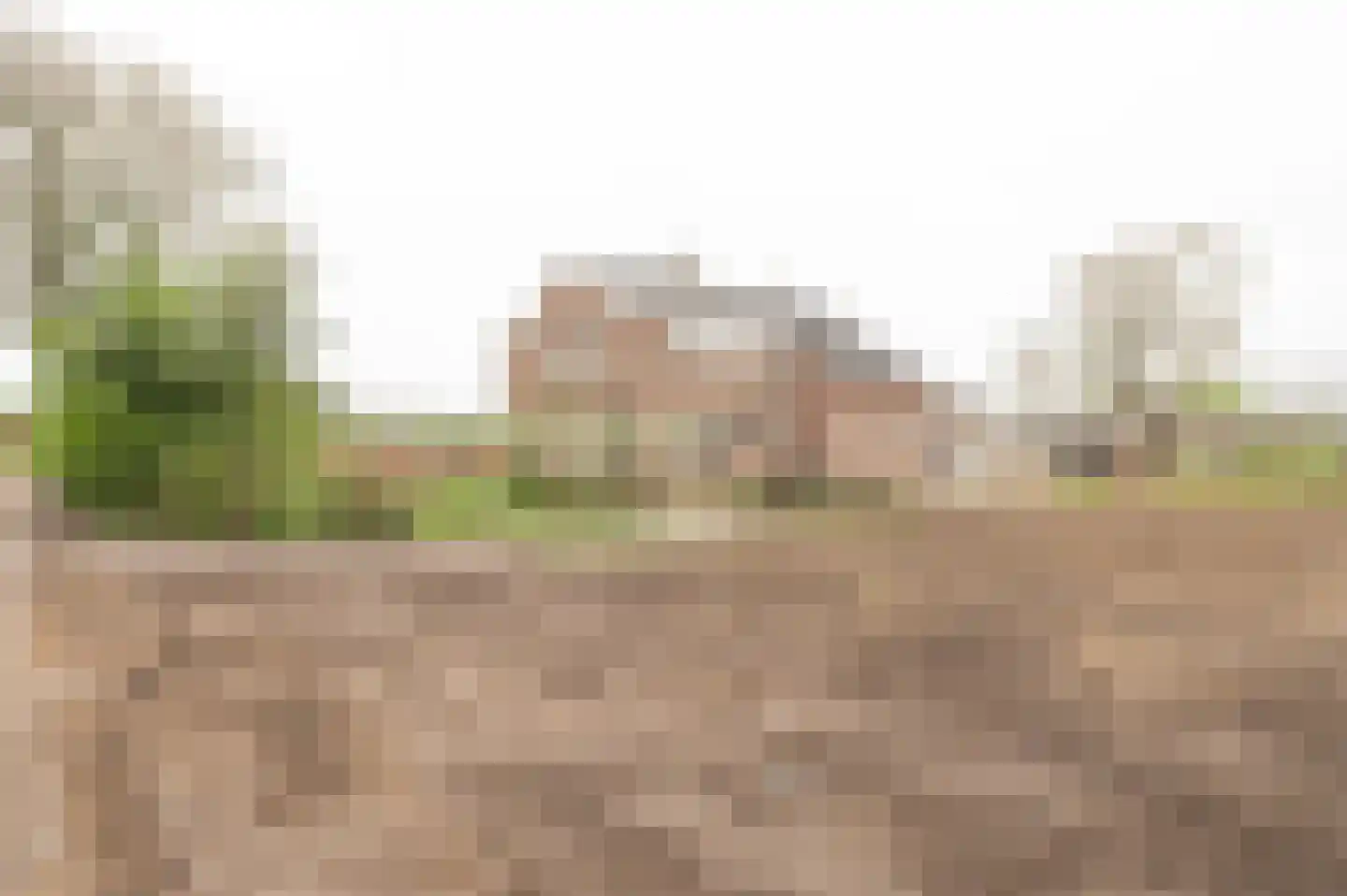 Groenedijk-Zuid 8 Tiel thumbnail 5