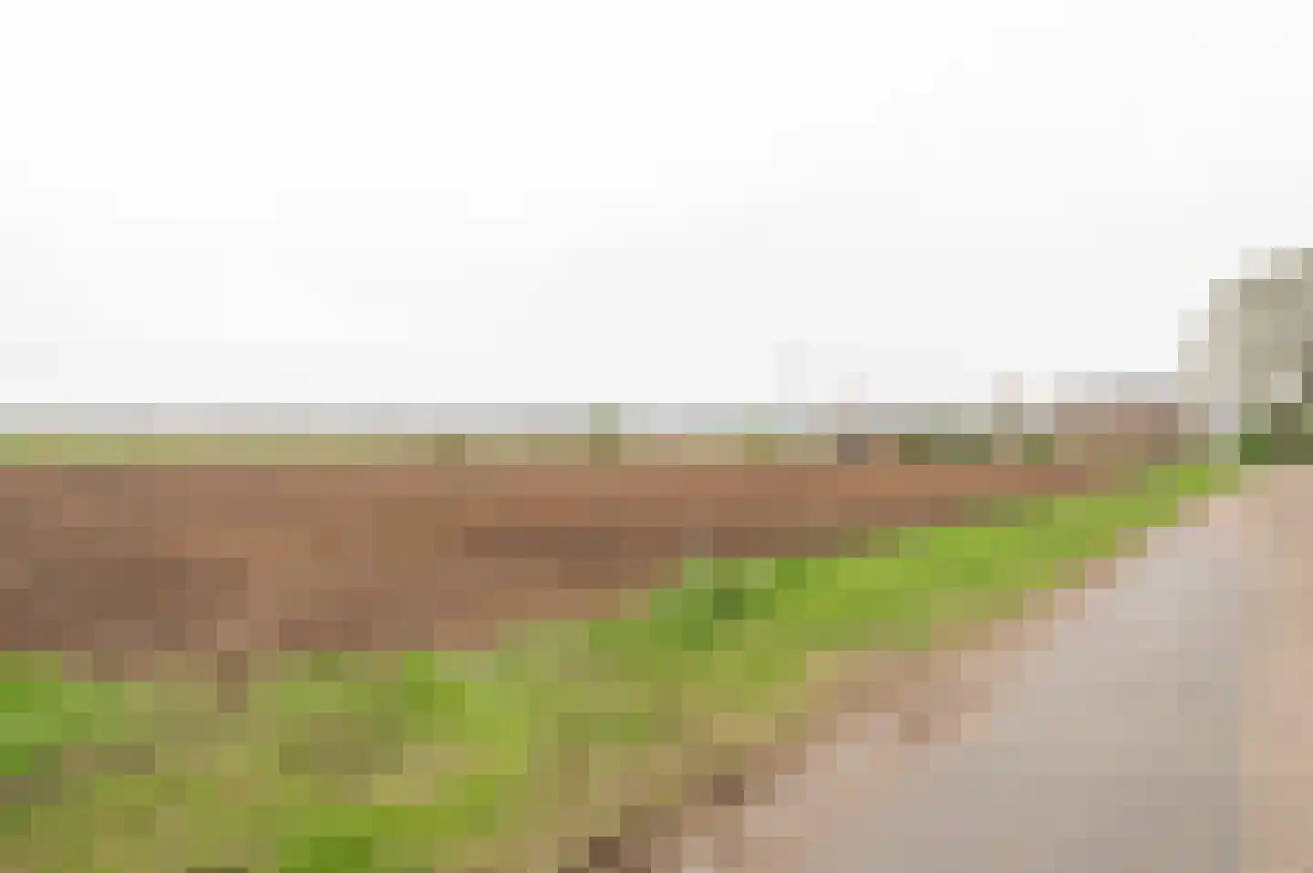 Groenedijk-Zuid 8 Tiel thumbnail 7