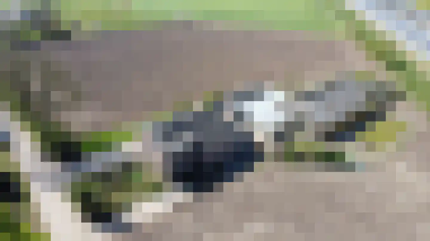 Groenedijk-Zuid 8 Tiel thumbnail 9
