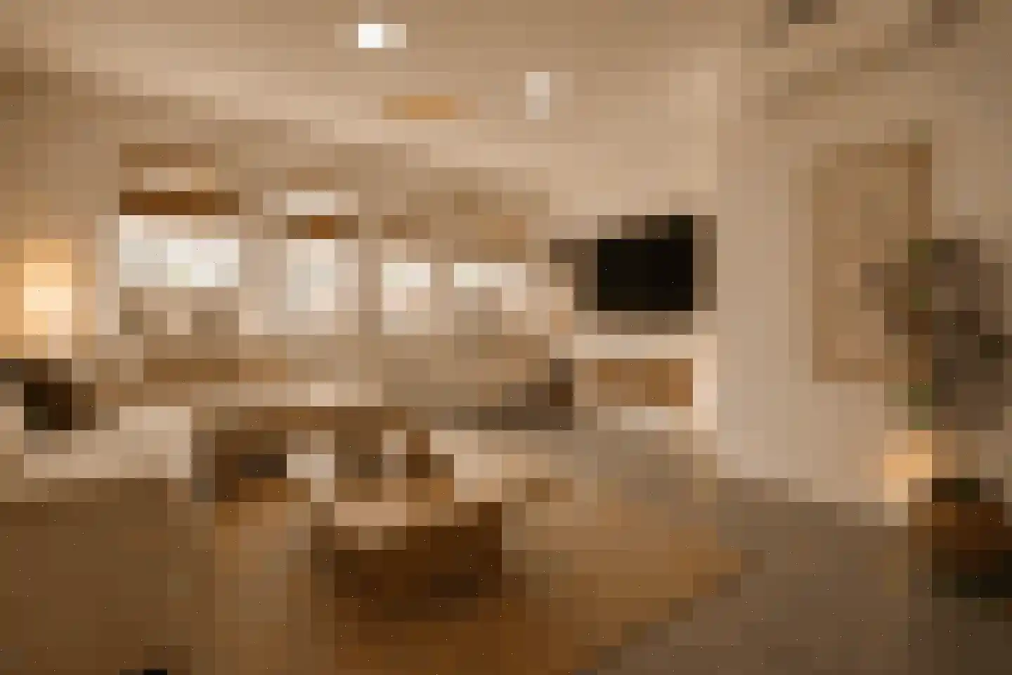 Groenekade 22 Vianen thumbnail 11