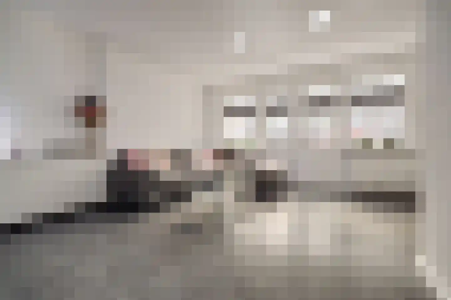 Groenekade 22 Vianen thumbnail 12