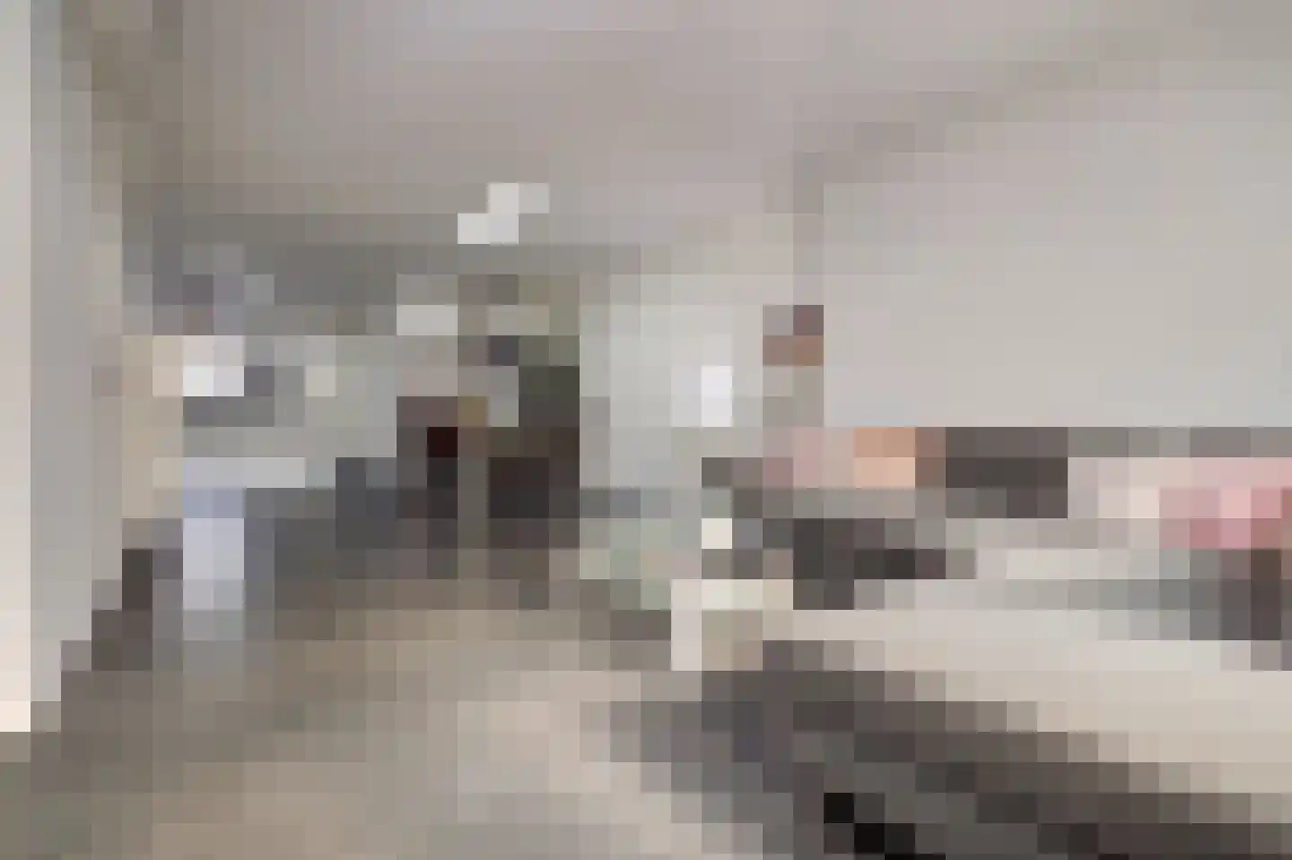 Groenekade 22 Vianen thumbnail 13