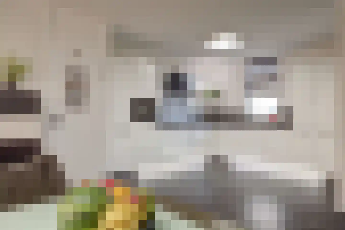 Groenekade 22 Vianen thumbnail 16