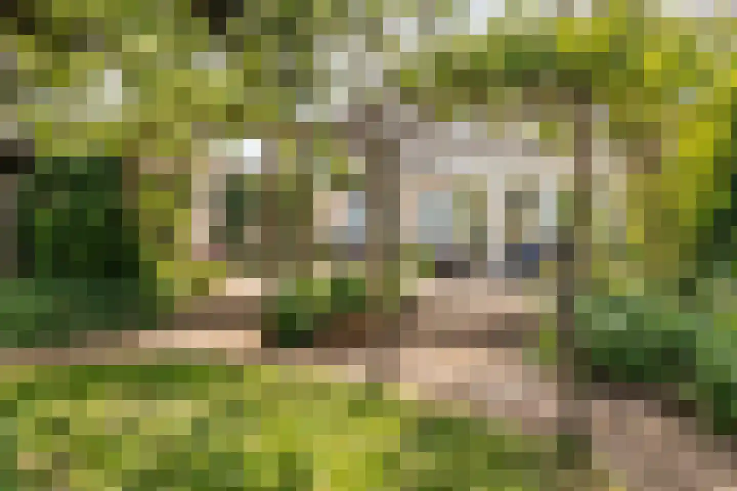 Groenekanseweg 128 De Bilt thumbnail 43