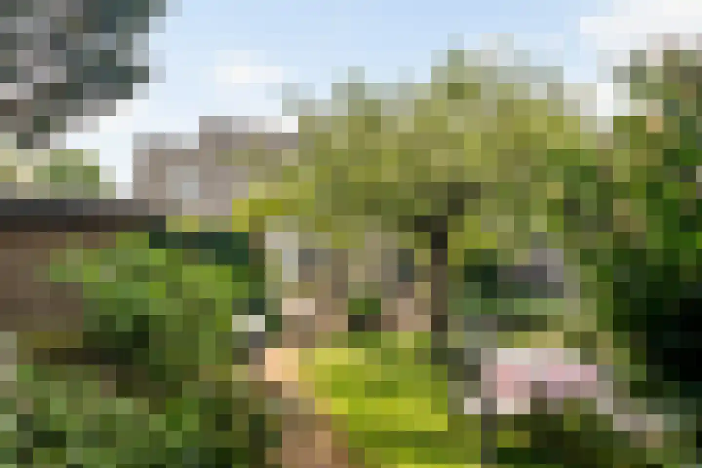 Groenekanseweg 128 De Bilt thumbnail 44