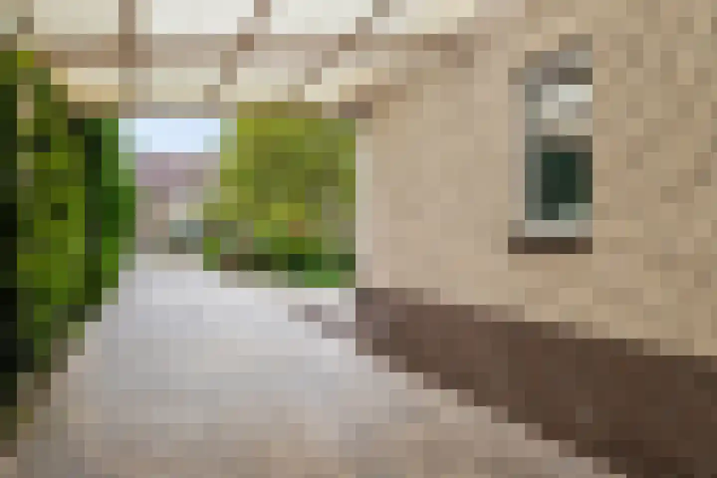 Groenekanseweg 128 De Bilt thumbnail 52