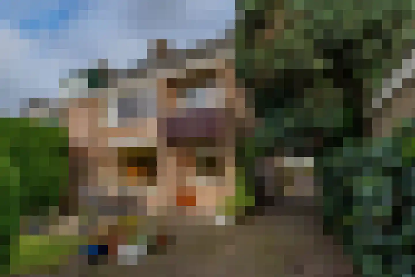 Groenekanseweg 147 De Bilt thumbnail 6