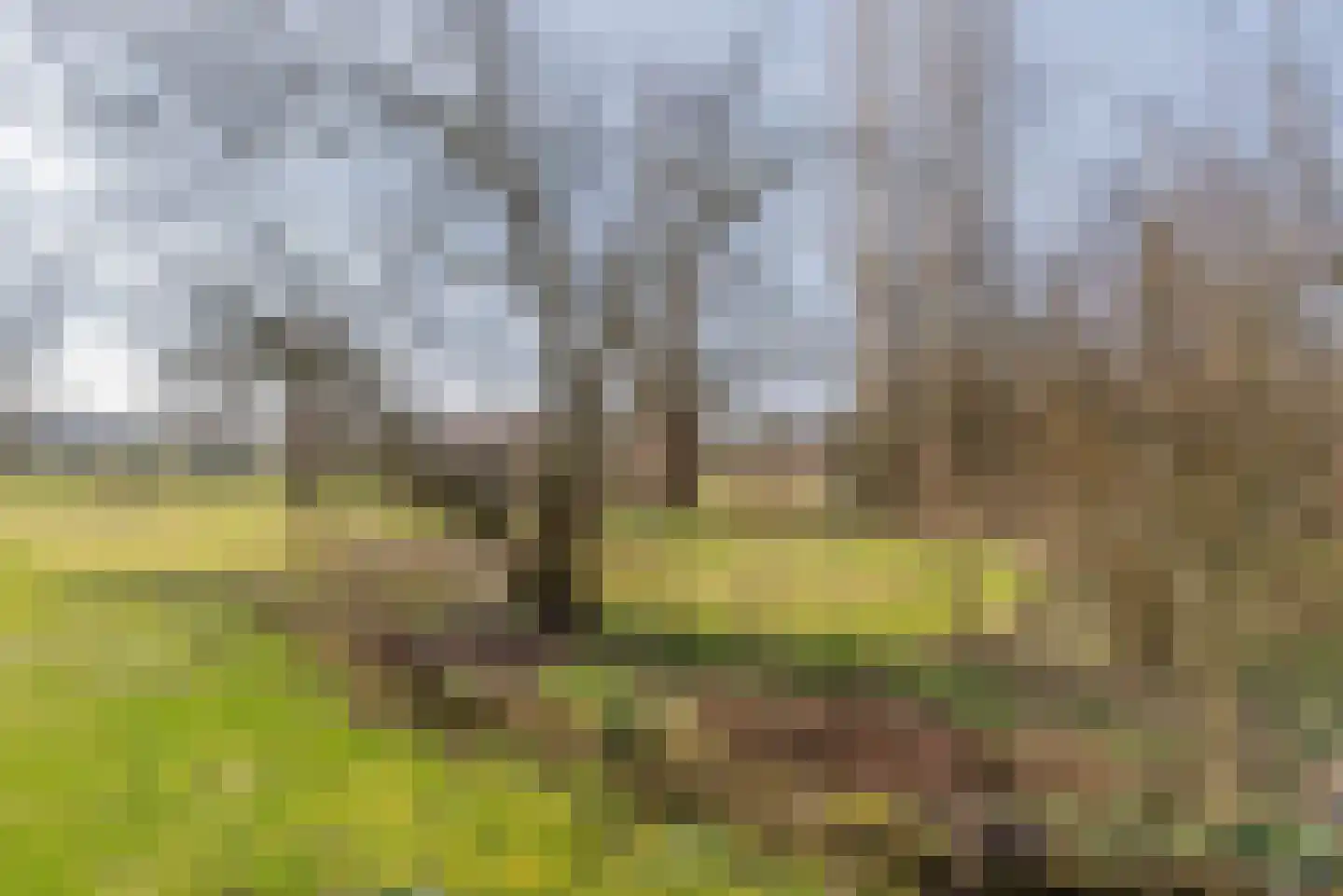 Groenekanseweg 173 Groenekan thumbnail 11