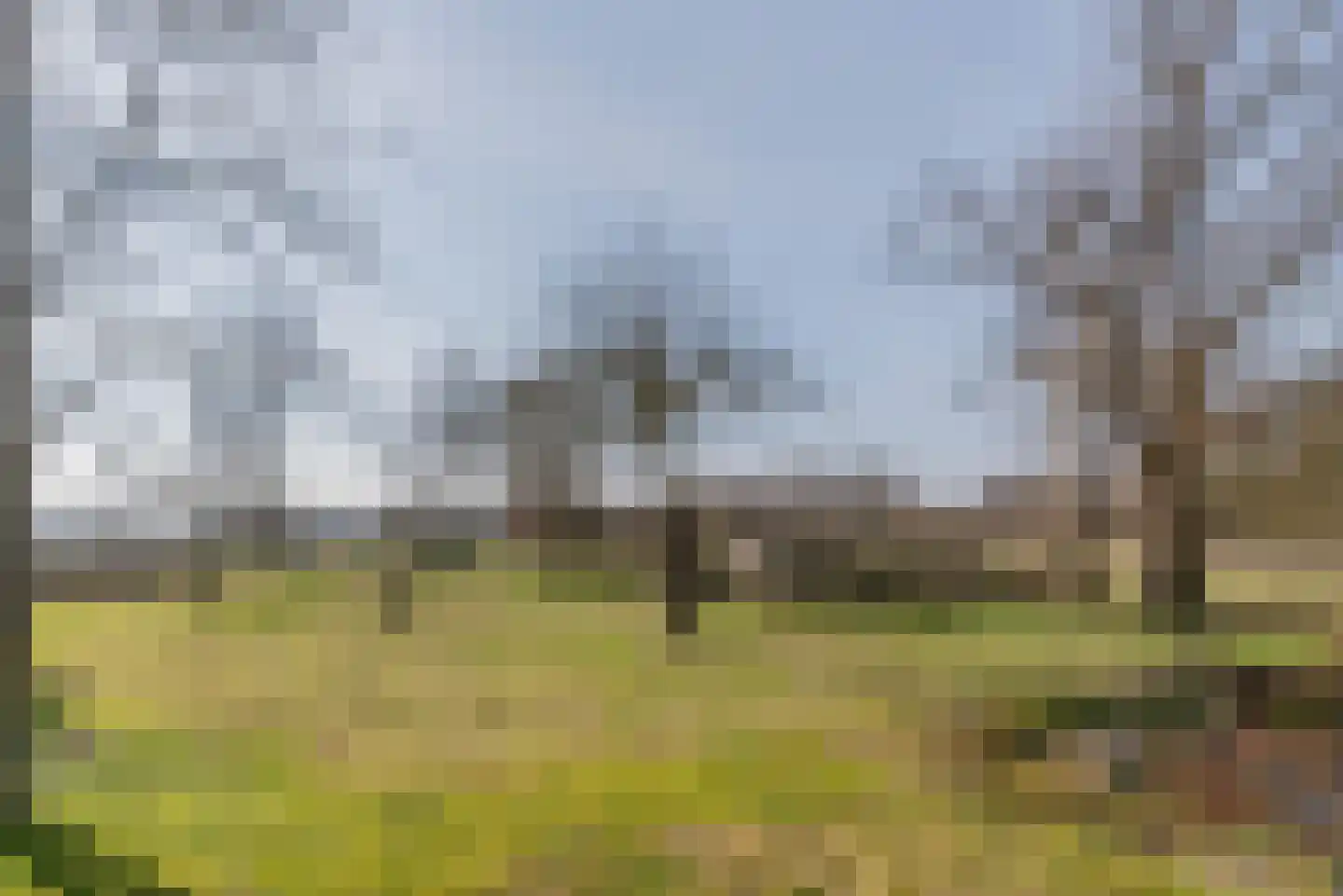 Groenekanseweg 173 Groenekan thumbnail 12