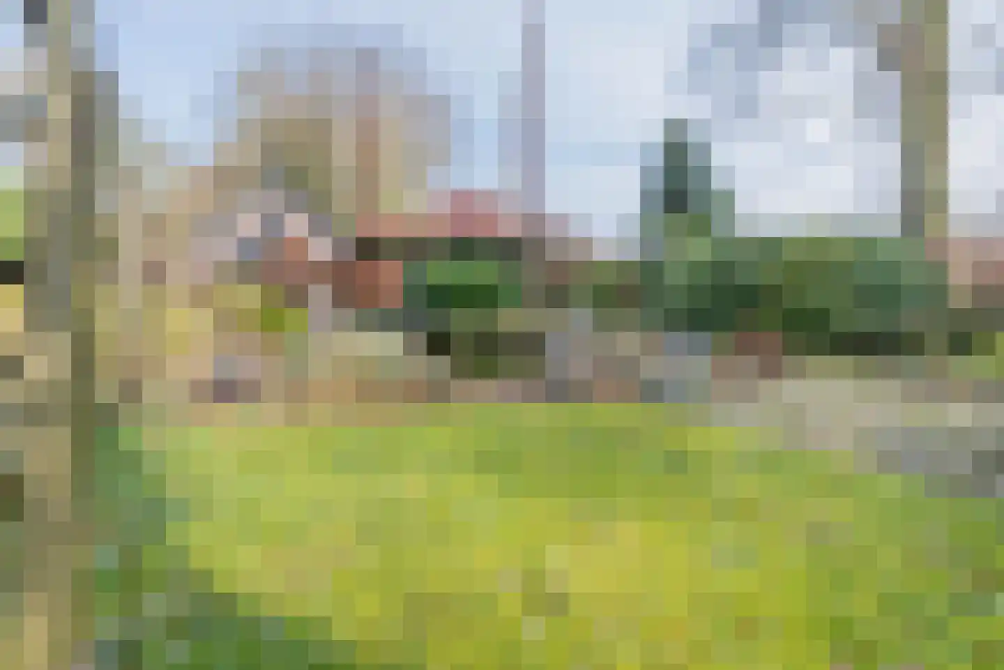 Groenekanseweg 173 Groenekan thumbnail 13