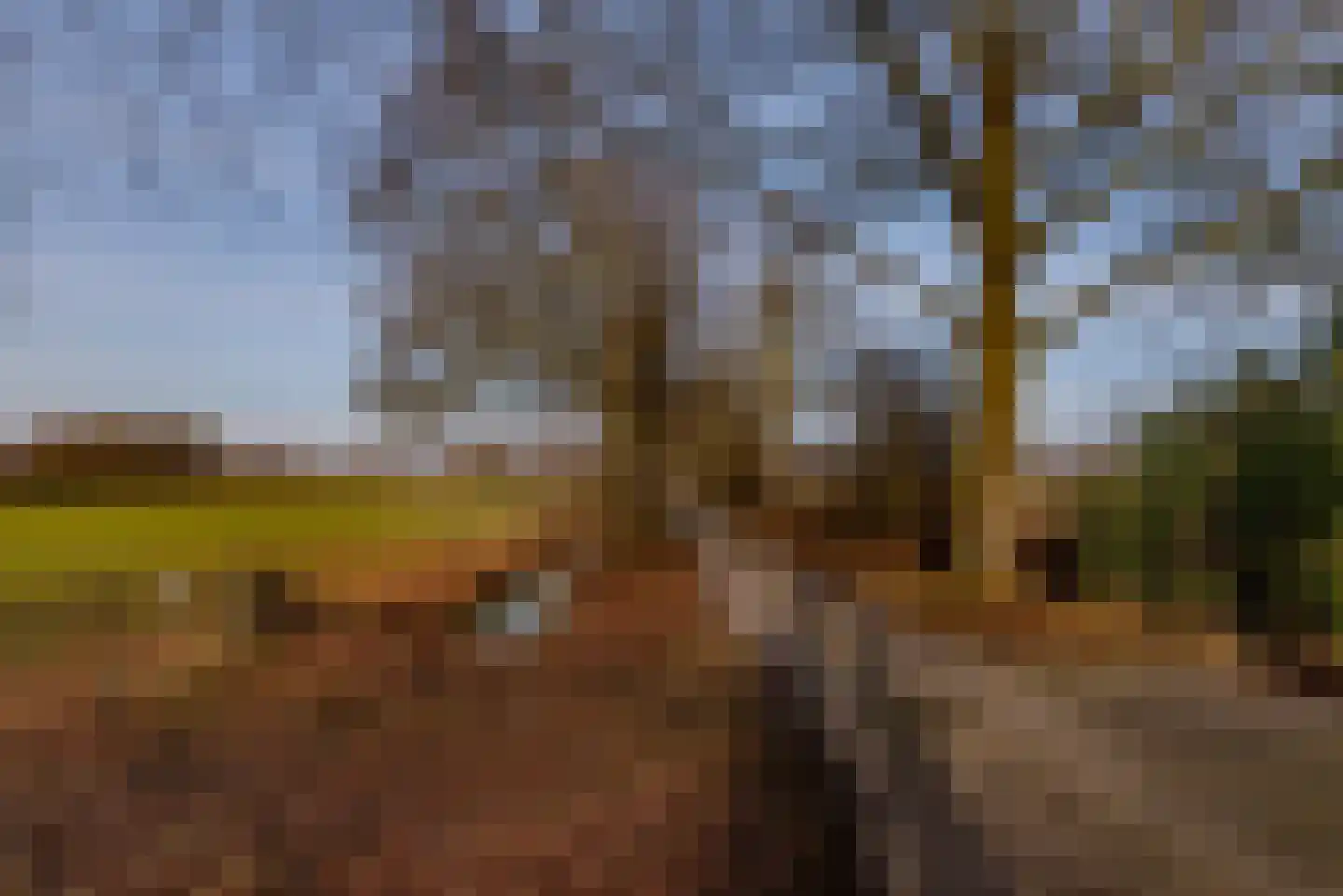 Groenekanseweg 173 Groenekan thumbnail 5