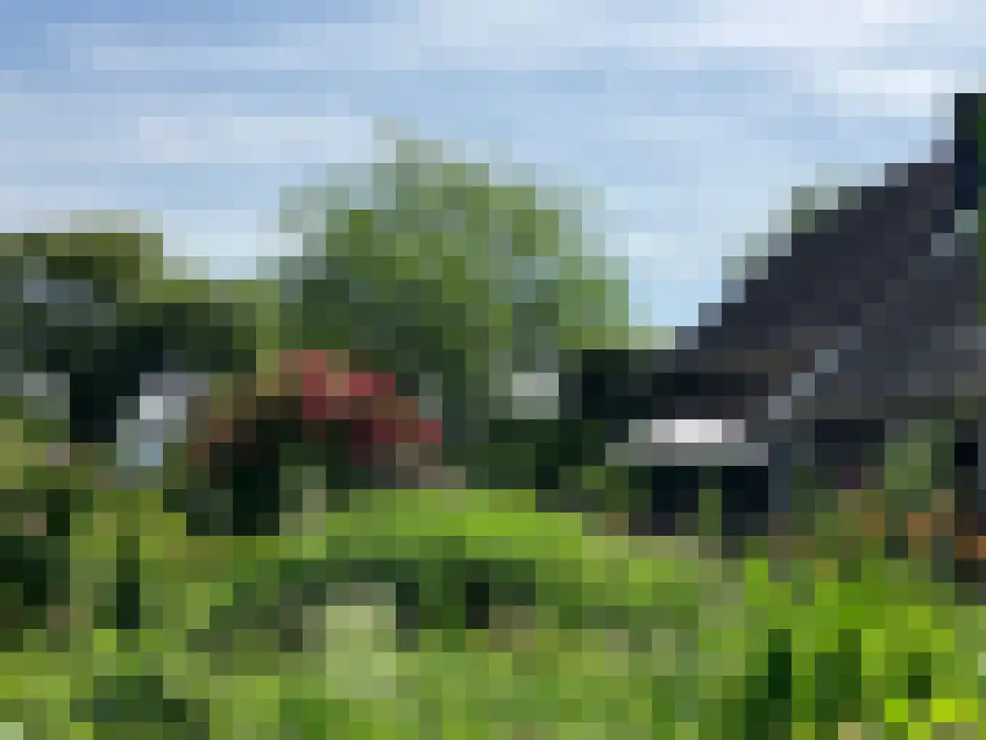Groenekanseweg 173 Groenekan thumbnail 66