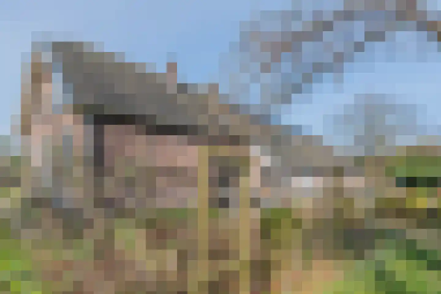 Groenekanseweg 173 Groenekan thumbnail 7