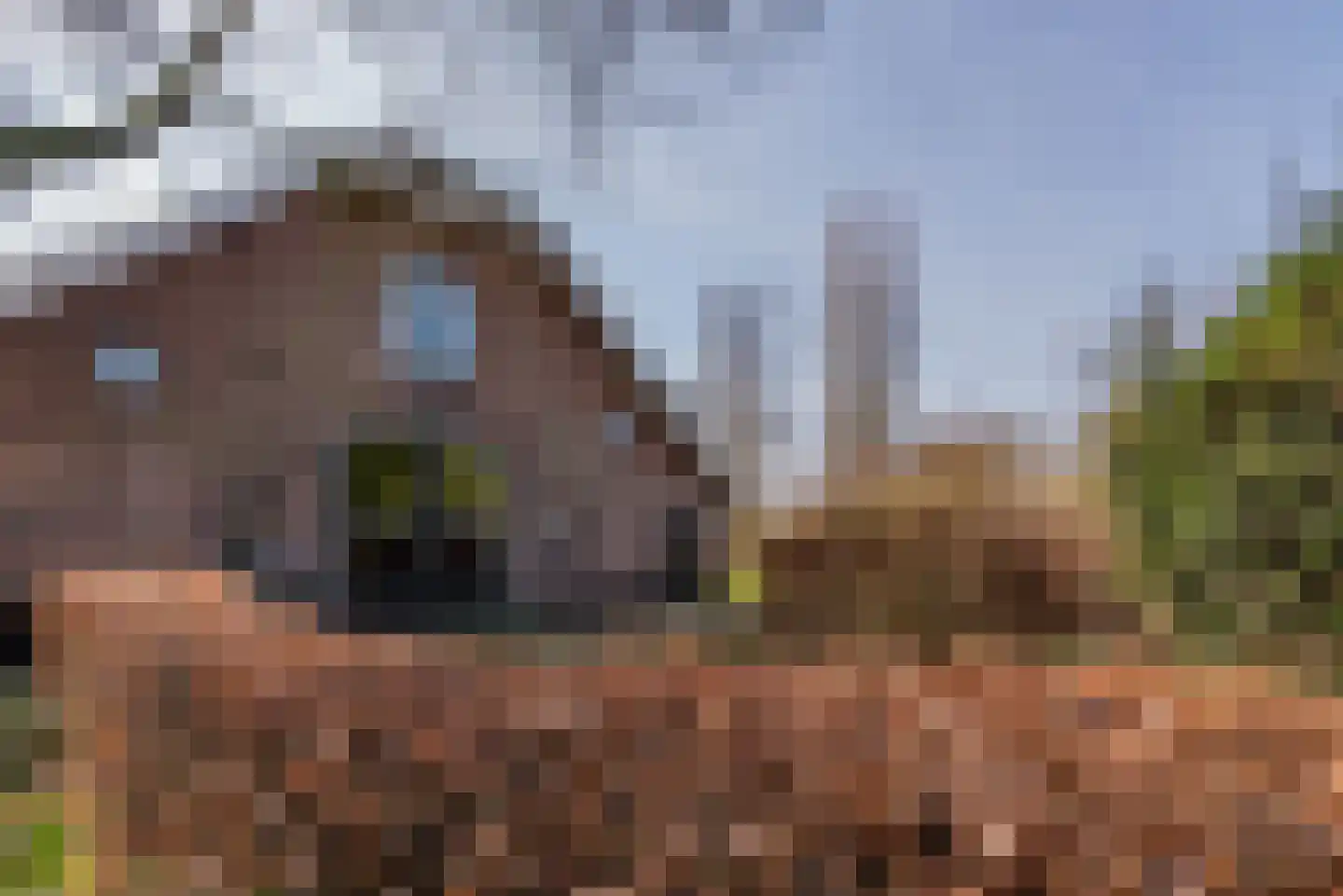 Groenekanseweg 173 Groenekan thumbnail 8