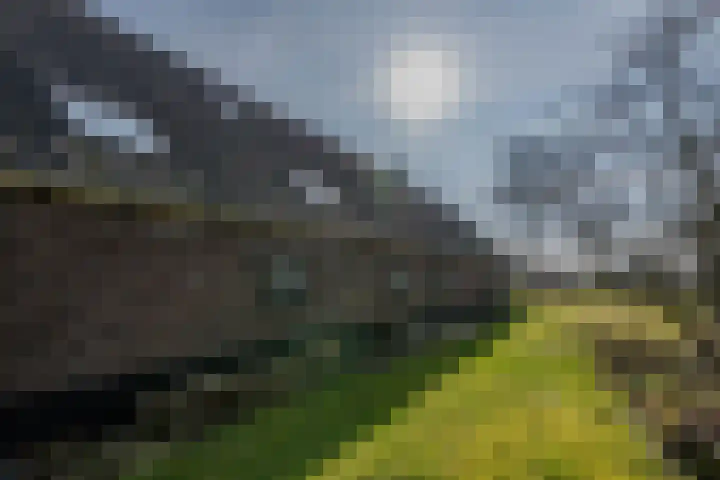 Groenekanseweg 173 Groenekan thumbnail 9