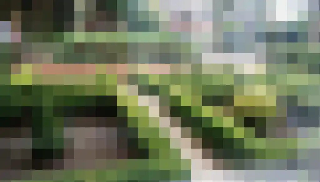 Groenekanseweg 66 De Bilt thumbnail 29